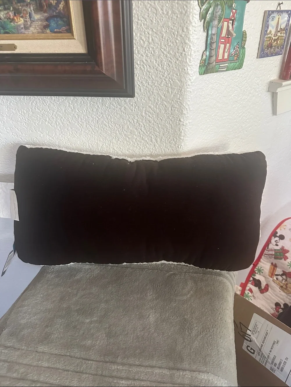 San Francisco 49ers HOME Pillow